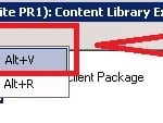 ContentLibraryExplorer Package Validate INVALID Package