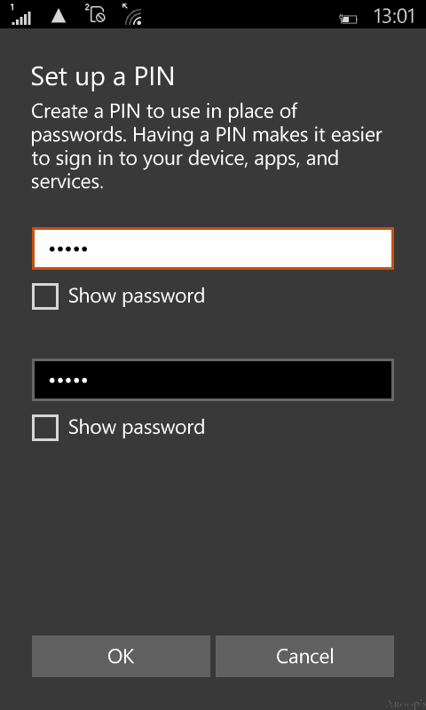 pins for windows