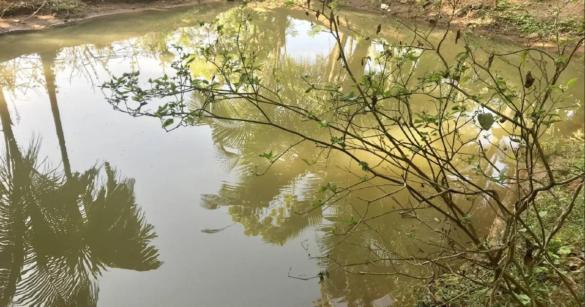 Future of SCCM ConfigMgr Intune Admin Jobs - Fig.6