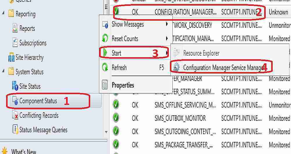 Cosmetic Issue with SCCM 1710 Service Manager GUI ConfigMgr - Fig.1
