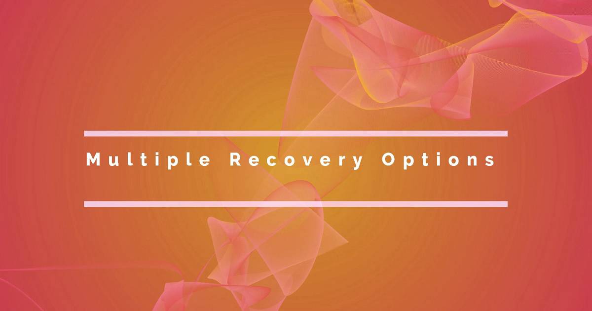 Multiple Recovery Options