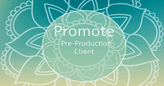 Promote Pre-Production Client 4 Promote Pre-Production Client