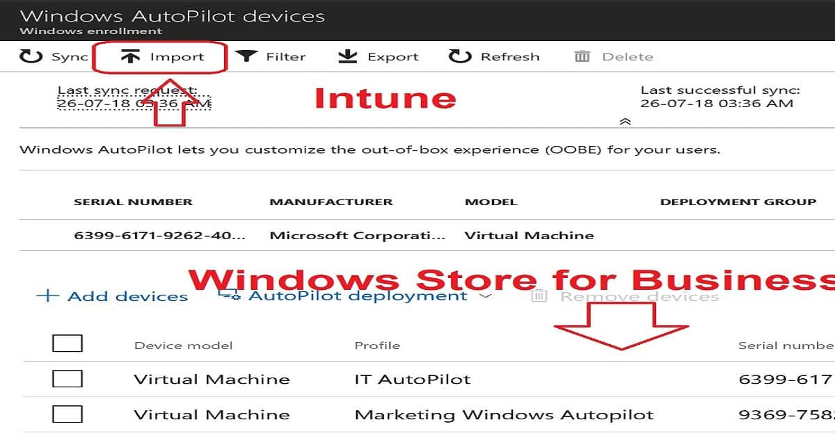 Step by Step Guide Windows AutoPilot Process with Intune Fig. 3