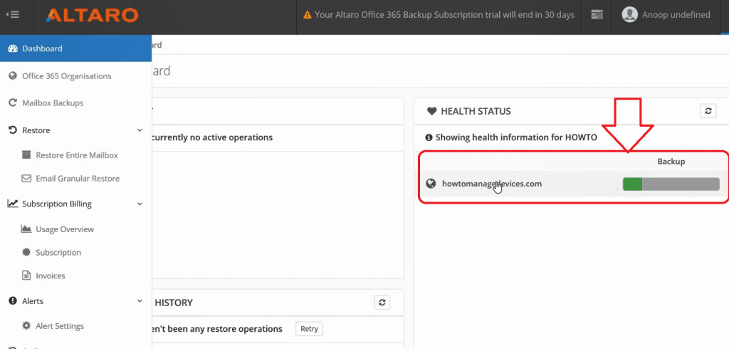  Altaro Office365 Backup Guide - Check the Backup status