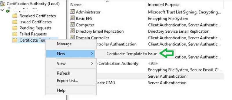 Server certificate CMG issue -Step 2: SCCM CMG Setup - Enable server authentication certificate template