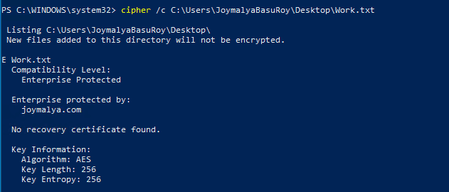 Windows Information Protection WIP Deep Dive | Internals with Joy Part 2 - Fig.4