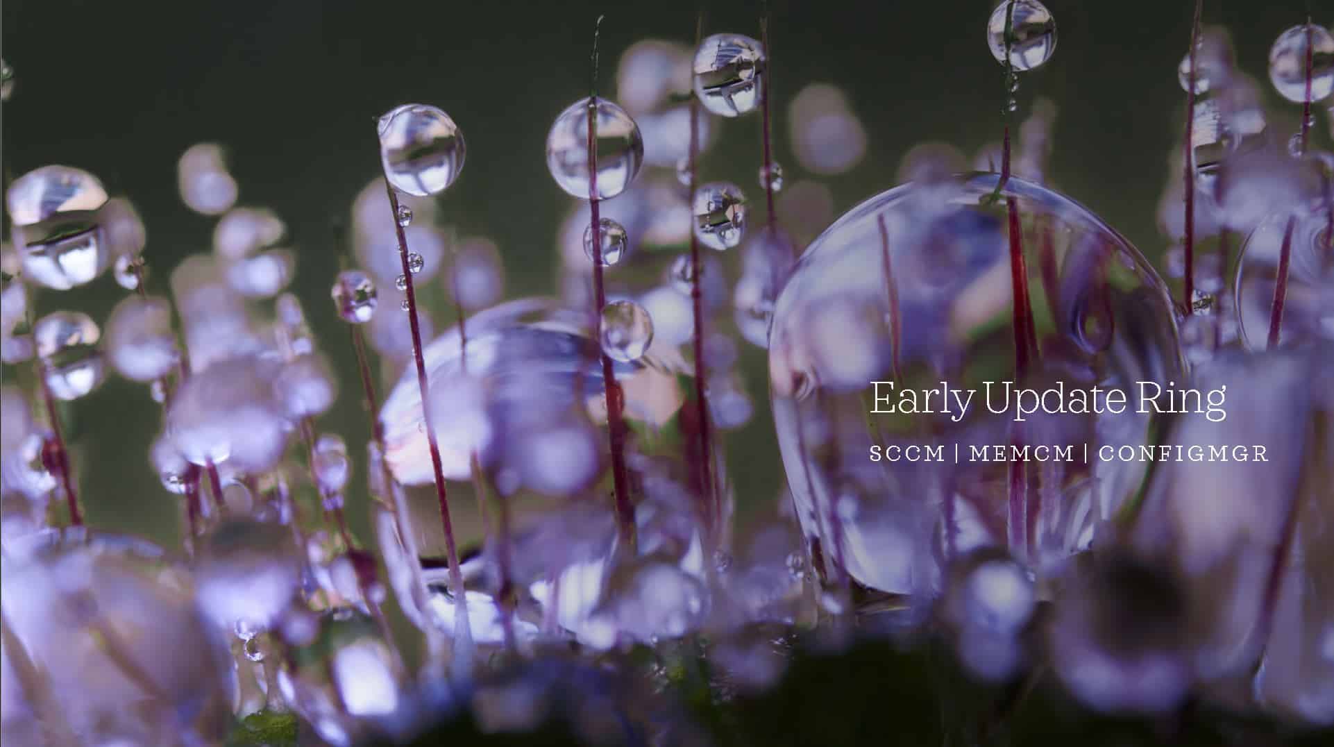 Slow Ring Vs Fast Ring