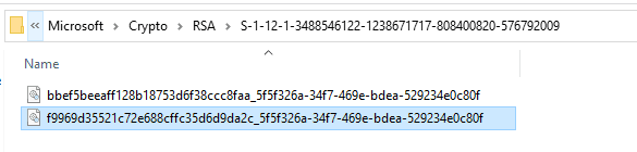 EFS self generated Private key of the Private/Public key pair is stored at %APPDATA%\Microsoft\Crypto\RSA\{User SID}