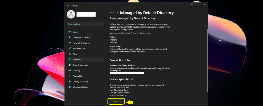 Windows 11 Intune Enrollment Process using Company Portal Application Settings App 8