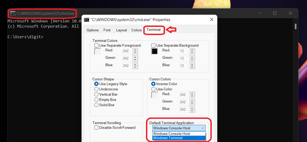  Option 3 Windows Console Host Properties - To Set up Windows Terminal as Defaulp Terminal App 