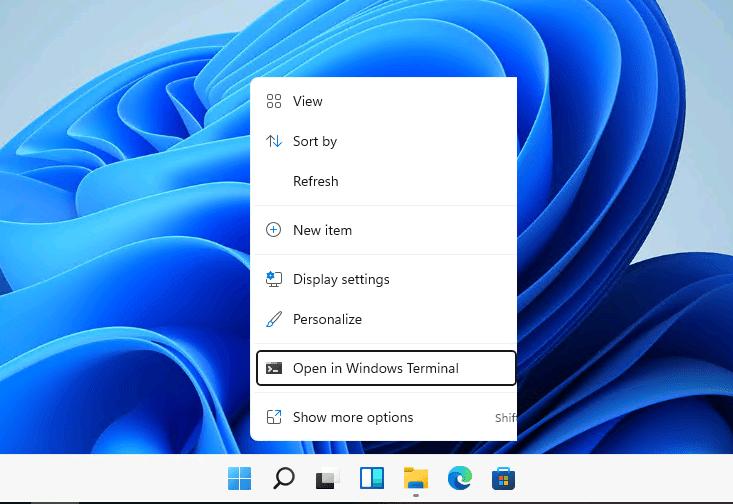 Windows Terminal command line arguments