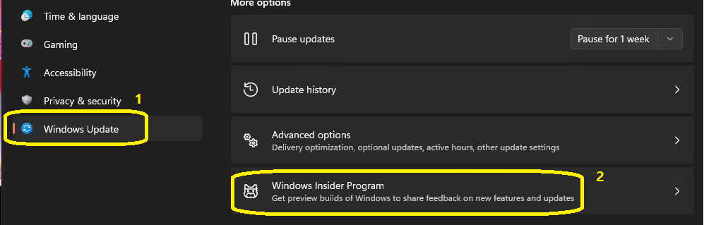 Fix Missing Windows Insider Program Option from Windows 11 PC