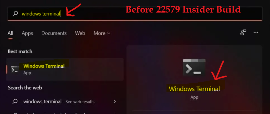 Windows 11 Search - Rename Windows Terminal App to Terminal Application