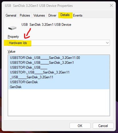 SanDisk USB Drive Hardware ID from Device Manager - USB Drive Hardware ID on Windows 11