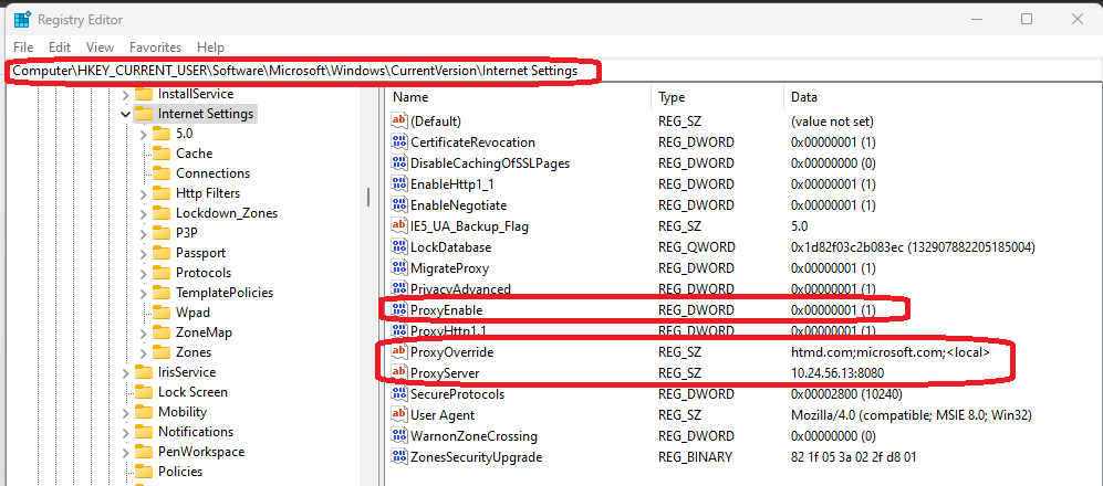 Proxy Server Configuration Registry Entries in Windows 11