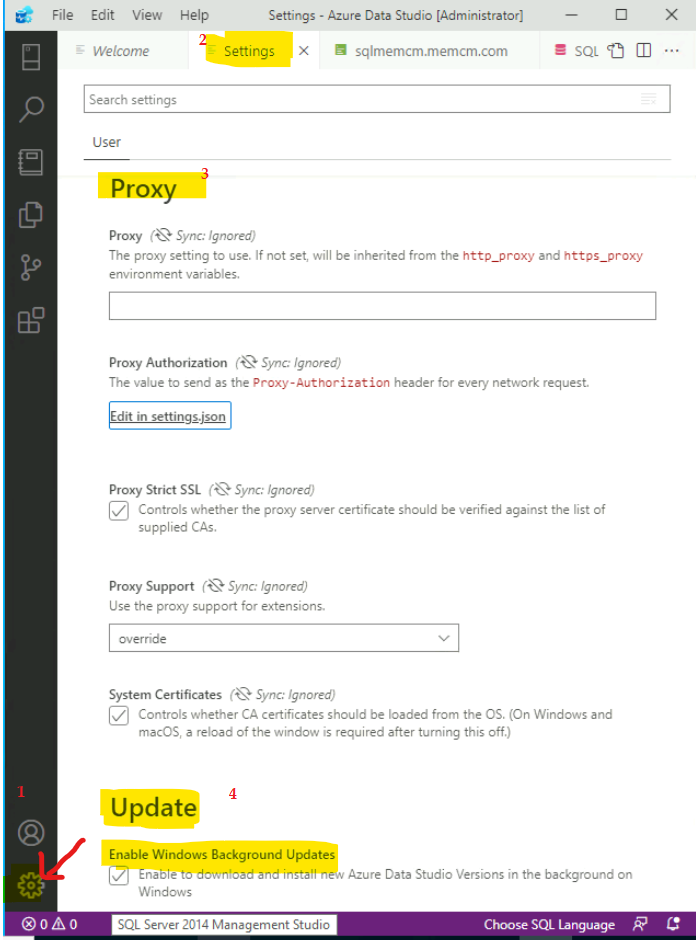 Proxy and Auto-Update Settings for Azure Data Studio