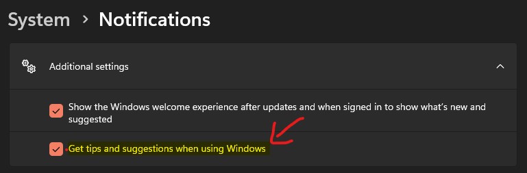 Additional Notification Settings on Windows 11 | Windows 11 Notifications Options 5