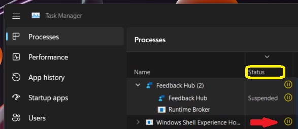 Windows 11 Task Manager Suspended Mode with a Pause Icon - Processes Status