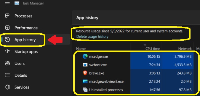 App History Page on Windows 11 Task Manager