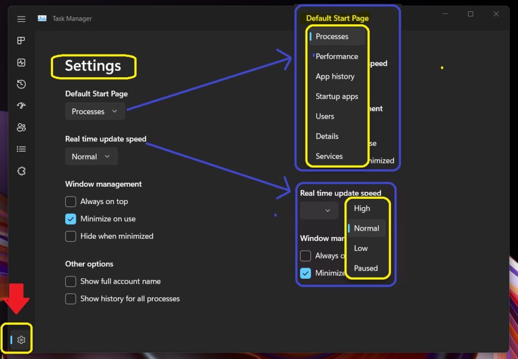 Settings Page for New Windows 11 Task Manager