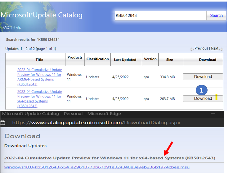 Select KBs - Download Windows Updates | Deploy Windows Update Offline Using Intune 2