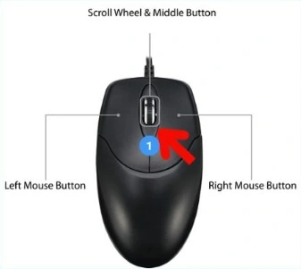 Onmouse store