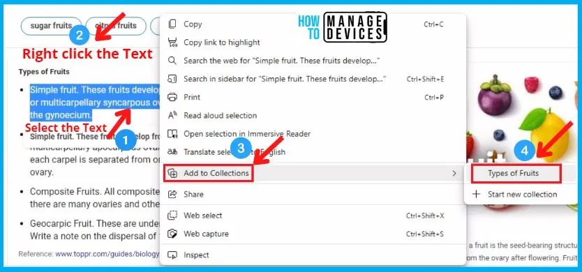 Collections Feature in Microsoft Edge Detailed Review | How to use Collection feature and Collection vs Favorites 18