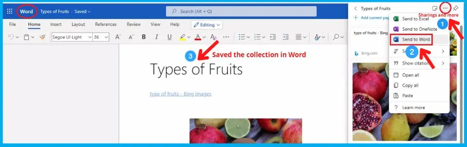 Collections Feature in Microsoft Edge Detailed Review | How to use Collection feature and Collection vs Favorites 21