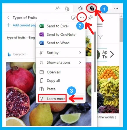 Collections Feature in Microsoft Edge Detailed Review | How to use Collection feature and Collection vs Favorites 27