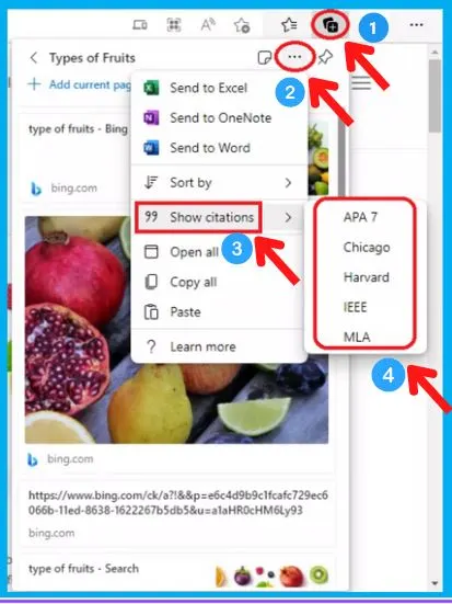 Collections Feature in Microsoft Edge Detailed Review | How to use Collection feature and Collection vs Favorites 23