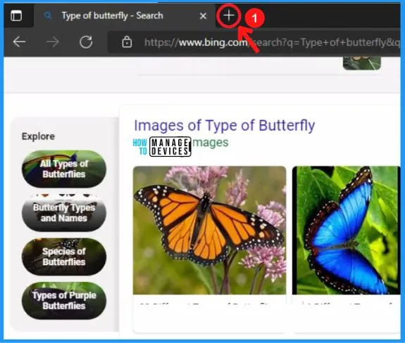 Edge Canary's new sidebar search lets you search with multiple search engines : r/MicrosoftEdge
