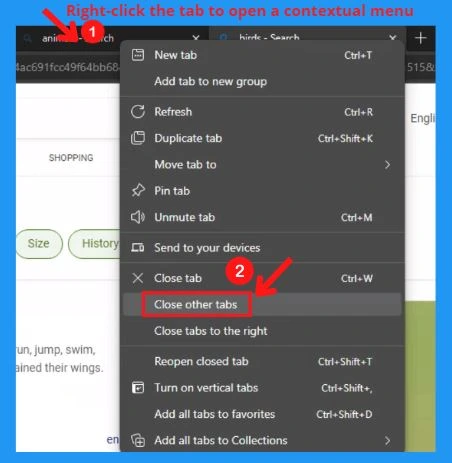 Microsoft Edge Tabs Detailed Review | 5 Easy ways to open a new tab in the Edge browser | Microsoft Edge settings 21