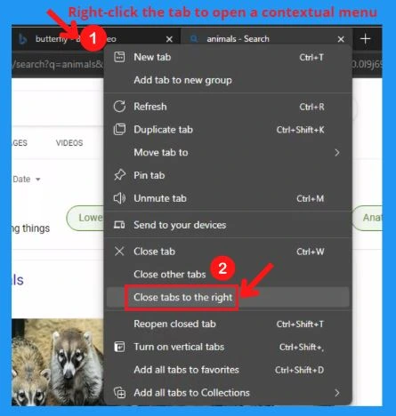 Microsoft Edge Tabs Detailed Review | 5 Easy ways to open a new tab in the Edge browser | Microsoft Edge settings 22