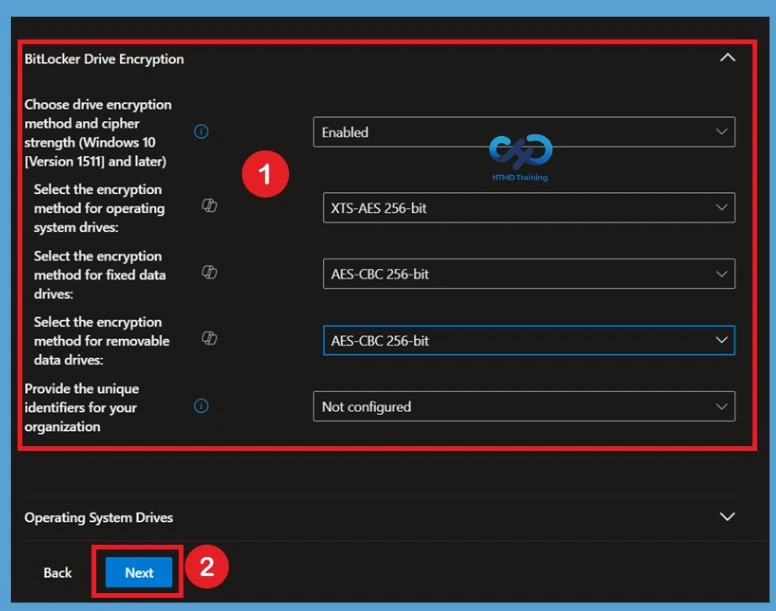 Deploy BitLocker Encryption to Protect Data on Windows Devices using Microsoft Intune 7 Deploy BitLocker Encryption to Protect Data on Windows Devices using Microsoft Intune-Fig.6