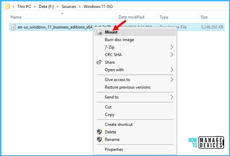 Windows 11 22H2 ISO - Select Mount