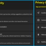 Privacy settings on Windows 11