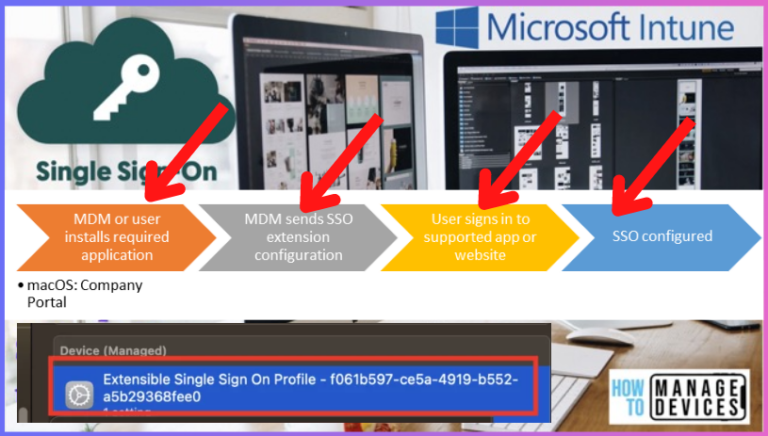 How to setup Microsoft Enterprise SSO plug-in for Apple macOS Devices using Intune Main
