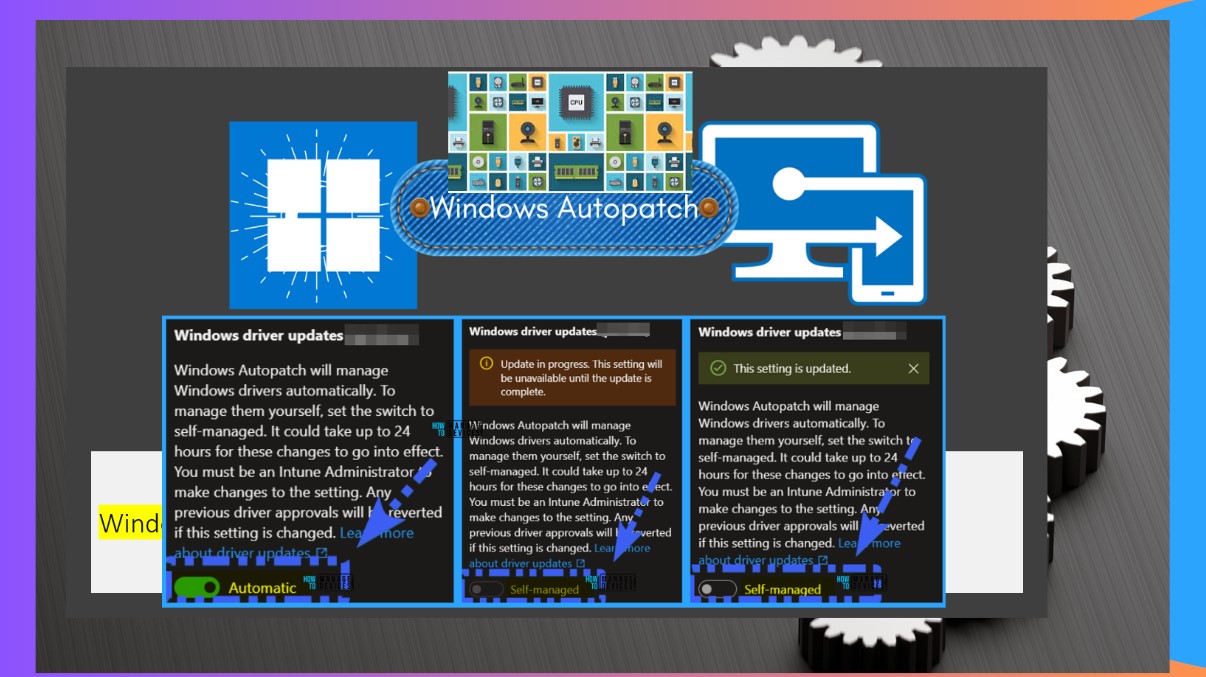 Enable Windows Autopatch Driver and Firmware Management Automation Main