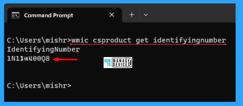 How to Find Windows 11 License Type Model and Serial Number - Fig. 6