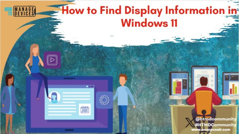 How to Find Display Information in Windows 11
