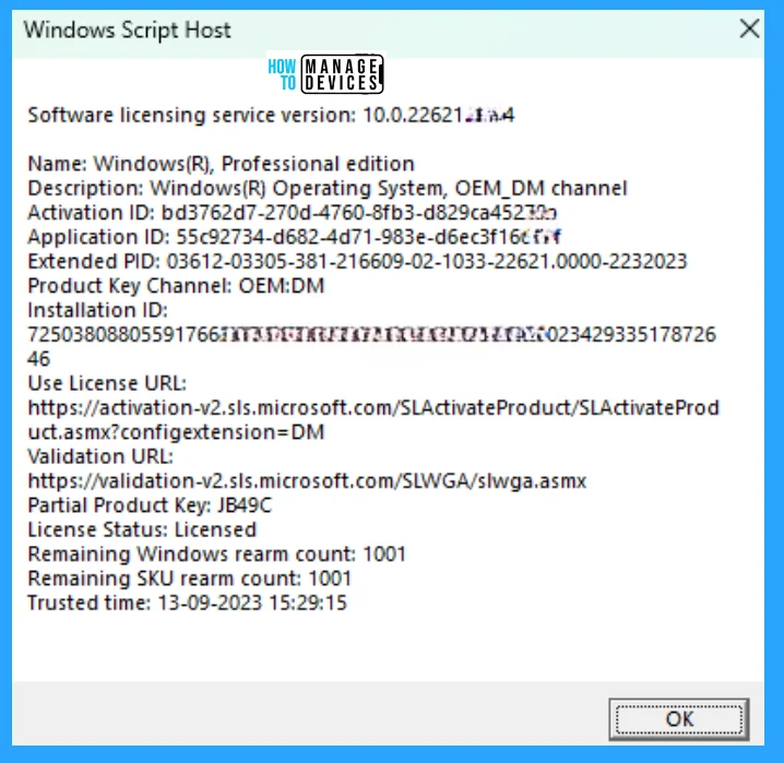 How to Find Windows 11 License Type Model and Serial Number - Fig. 10