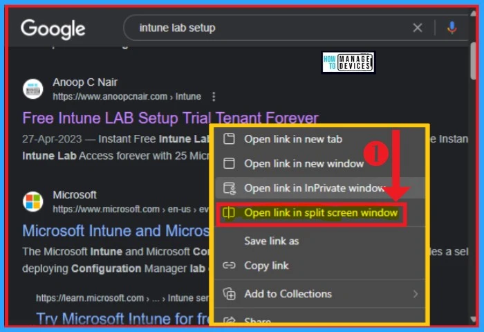 Split Screen Button on Microsoft Edge Browser - fig.13