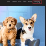 Windows 11 Photos App Background Blur and Latest Features Explained 1