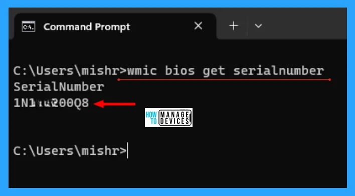 How to Find Windows 11 License Type Model and Serial Number - Fig. 5