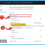 Start and Stop Automatic Maintenance in Windows