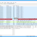 Detailed Overview of Wireshark in Windows 11