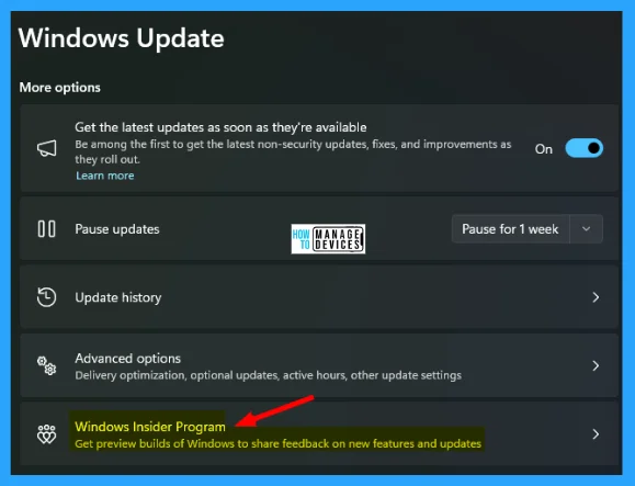 Update to Win 11 23H2 was showing as available but not now