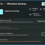 Windows Backup