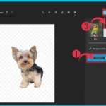 New Improvements in Windows Photos