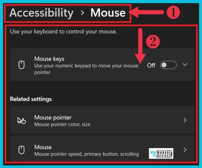 Accessibility Settings in Windows 11 - Fig.20